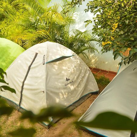 Hostel Tropico De Capricornio - Itagua Ubatuba Rom bilde