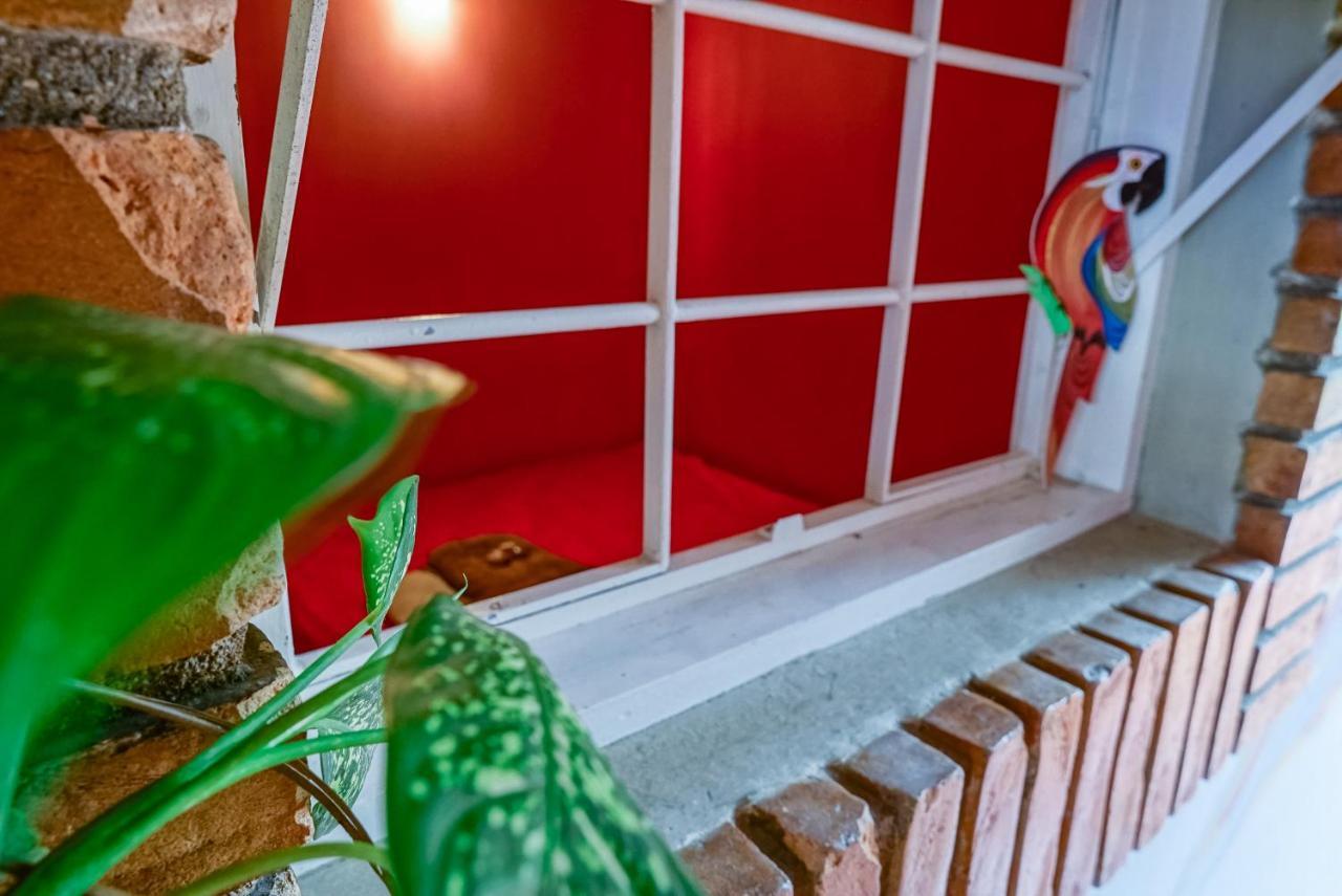 Hostel Tropico De Capricornio - Itagua Ubatuba Eksteriør bilde