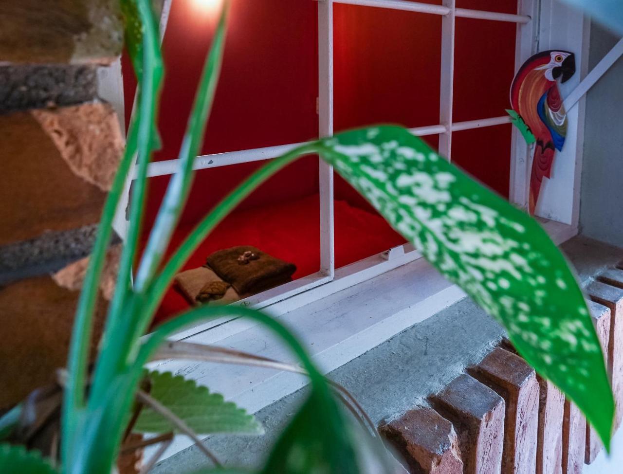 Hostel Tropico De Capricornio - Itagua Ubatuba Eksteriør bilde