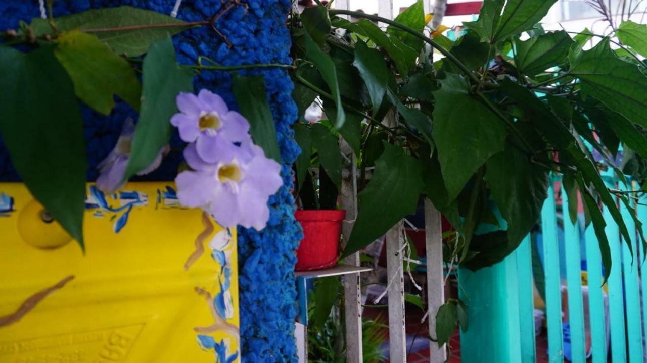 Hostel Tropico De Capricornio - Itagua Ubatuba Eksteriør bilde